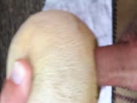 Sex deprived older man uses cantaloupe to satisfy sexual urges in this homemade insertion vid